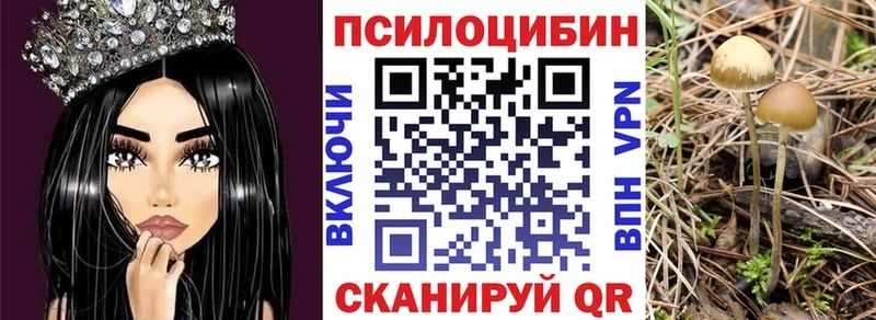 Галлюциногенные грибы Cubensis  mega ONION  Ардон 